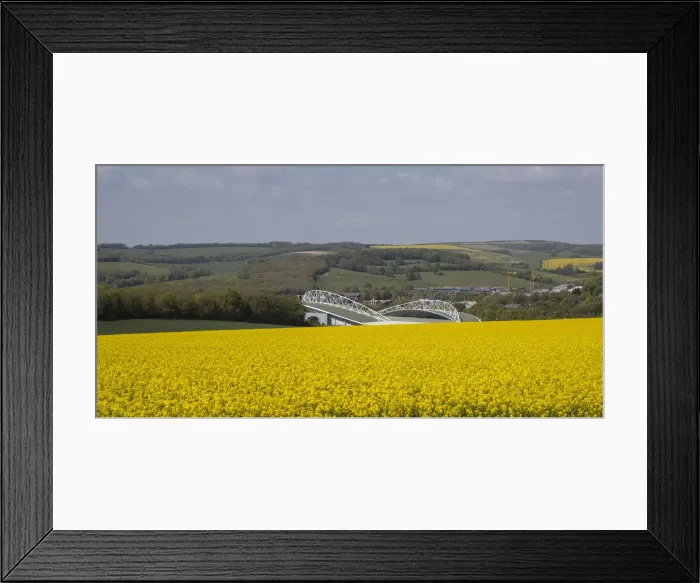 Framed Print : Brighton and Hove Albion's Amex Stadium Amidst Rapeseed Fields, May 2018 Framed Print : Brighton and Hove Albion's Amex Stadium Amidst Rapeseed Fields, May 2018