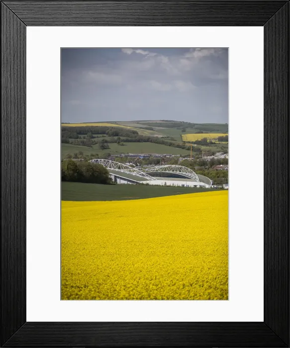 Framed Print : Brighton and Hove Albion's Amex Stadium Amidst Rapeseed Fields, May 2018 Framed Print : Brighton and Hove Albion's Amex Stadium Amidst Rapeseed Fields, May 2018