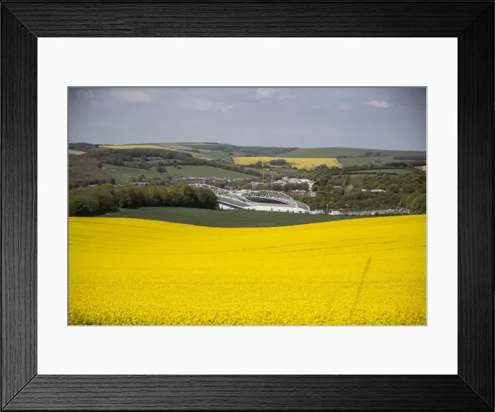 Framed Print : Brighton and Hove Albion's Amex Stadium Amidst Rapeseed Fields, May 2018