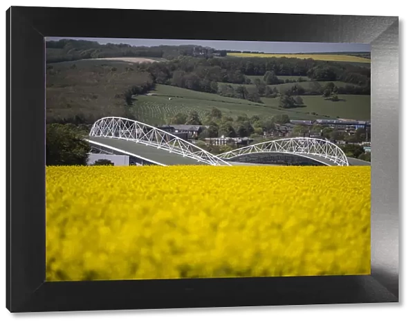 Brighton and Hove Albion's Amex Stadium Amidst a Sea of Rapeseed Fields, May 2018