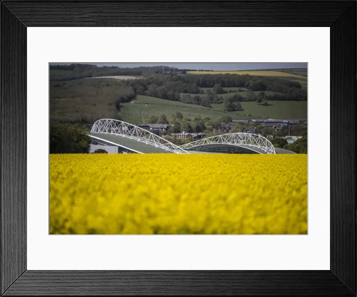 Framed Print : Brighton and Hove Albion's Amex Stadium Amidst a Sea of Rapeseed Fields, May 2018 Framed Print : Brighton and Hove Albion's Amex Stadium Amidst a Sea of Rapeseed Fields, May 2018