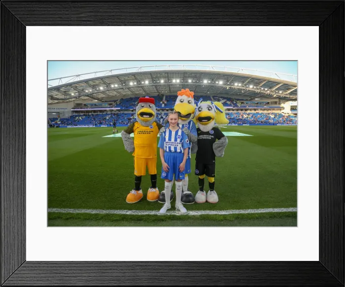 Framed Print : Mascots - Man Utd-9763 Framed Print : Mascots - Man Utd-9763
