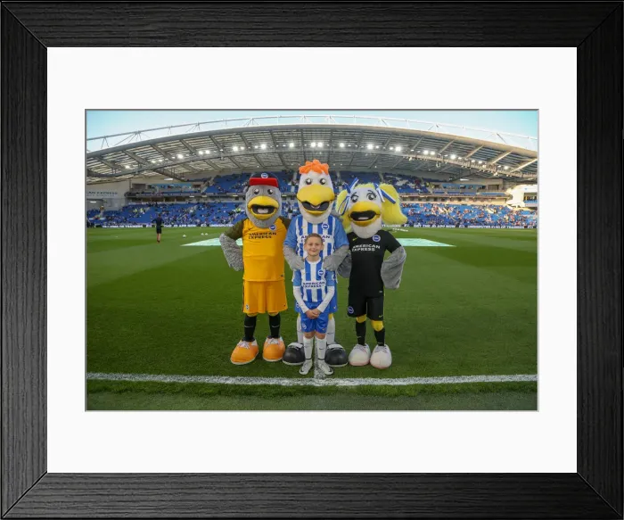 Framed Print : Mascots - Man Utd-9764 Framed Print : Mascots - Man Utd-9764