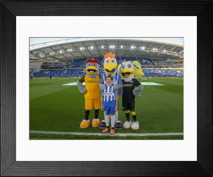 Framed Print : Mascots - Man Utd-9766 Framed Print : Mascots - Man Utd-9766