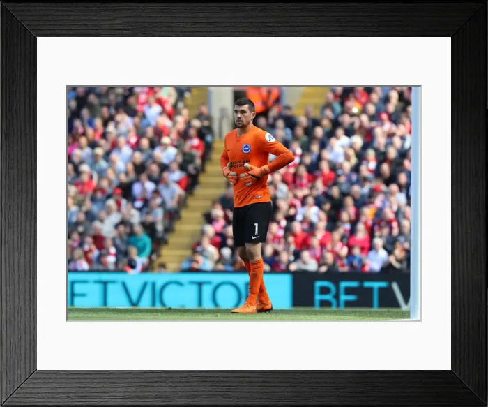 Framed Print : Premier League Showdown: Liverpool vs. Brighton and Hove Albion (13MAY18) Framed Print : Premier League Showdown: Liverpool vs. Brighton and Hove Albion (13MAY18)