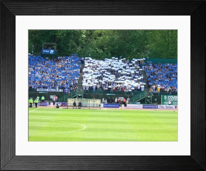 Framed Print : Brighton & Hove Albion's League 1 Survival: The Thrilling Crowd at Brighton v Stockport County (02 / 05 / 09) Framed Print : Brighton & Hove Albion's League 1 Survival: The Thrilling Crowd at Brighton v Stockport County (02 / 05 / 09)