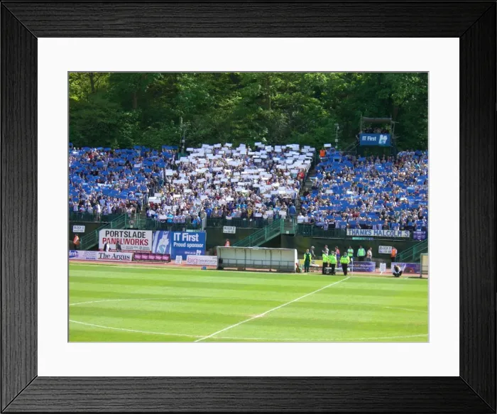 Framed Print : Brighton & Hove Albion's Thrilling League 1 Survival: The Crowd (02 / 05 / 09) - Brighton vs. Stockport County Framed Print : Brighton & Hove Albion's Thrilling League 1 Survival: The Crowd (02 / 05 / 09) - Brighton vs. Stockport County