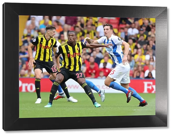 Dunk and Kabasele in Intense Clash: Watford vs. Brighton and Hove Albion, Premier League (11AUG18)