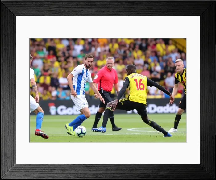 Framed Print : Davy Propper in Action: Watford vs. Brighton & Hove Albion, Premier League (11th August 2018) Framed Print : Davy Propper in Action: Watford vs. Brighton & Hove Albion, Premier League (11th August 2018)