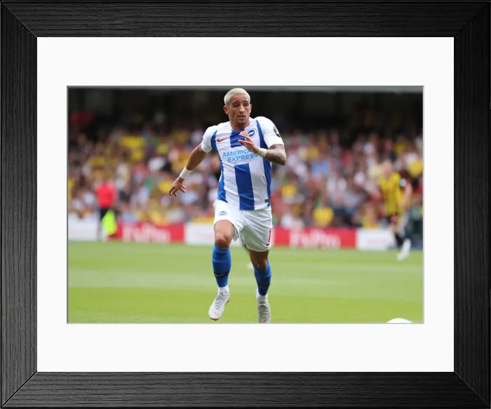 Framed Print : Anthony Knockaert in Action: Brighton and Hove Albion vs. Watford, Premier League (August 11, 2018) Framed Print : Anthony Knockaert in Action: Brighton and Hove Albion vs. Watford, Premier League (August 11, 2018)