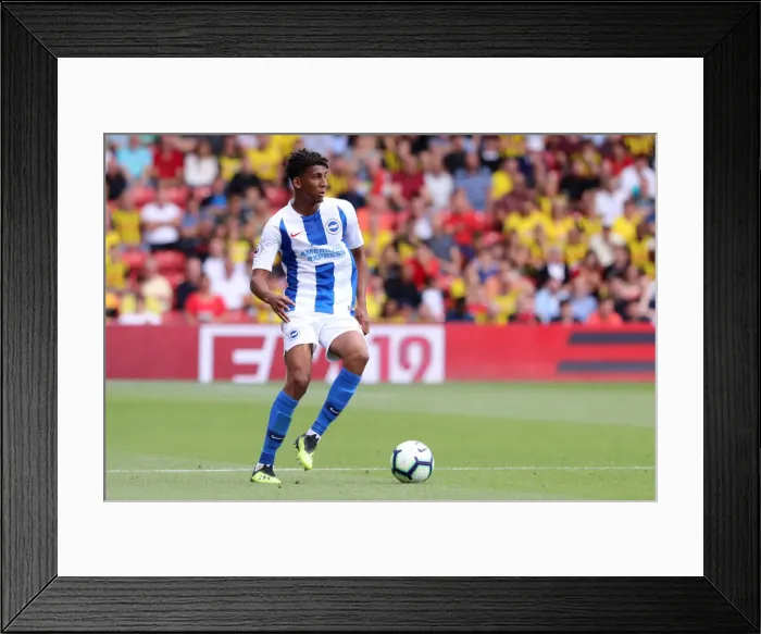 Framed Print : Bernardo Fernandes da Silva Junior in Action: Watford vs. Brighton and Hove Albion, Premier League (11th August 2018) Framed Print : Bernardo Fernandes da Silva Junior in Action: Watford vs. Brighton and Hove Albion, Premier League (11th August 2018)