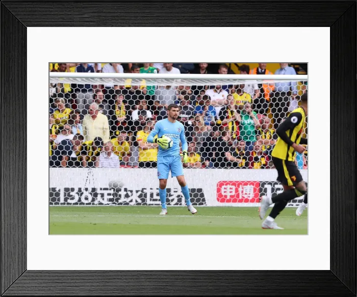 Framed Print : Mathew Ryan in Action: Brighton and Hove Albion vs. Watford, Premier League (11th August 2018)