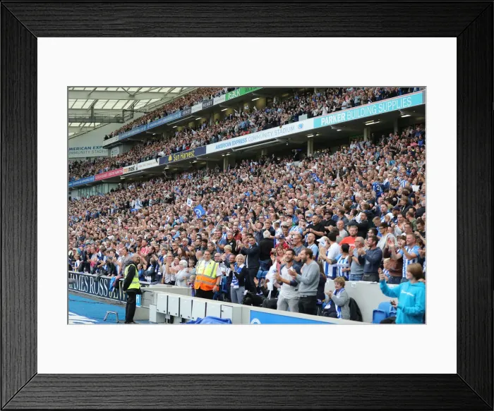 Framed Print : Brighton and Hove Albion vs Manchester United: Premier League Showdown at American Express Community Stadium (19th August 2018)