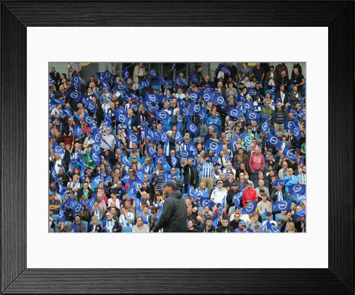 Framed Print : Brighton and Hove Albion vs Manchester United: Premier League Showdown at American Express Community Stadium (19th August 2018) Framed Print : Brighton and Hove Albion vs Manchester United: Premier League Showdown at American Express Community Stadium (19th August 2018)