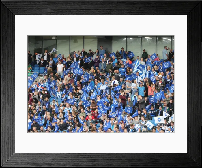 Framed Print : Brighton and Hove Albion vs Manchester United: Premier League Showdown at American Express Community Stadium (19th August 2018)