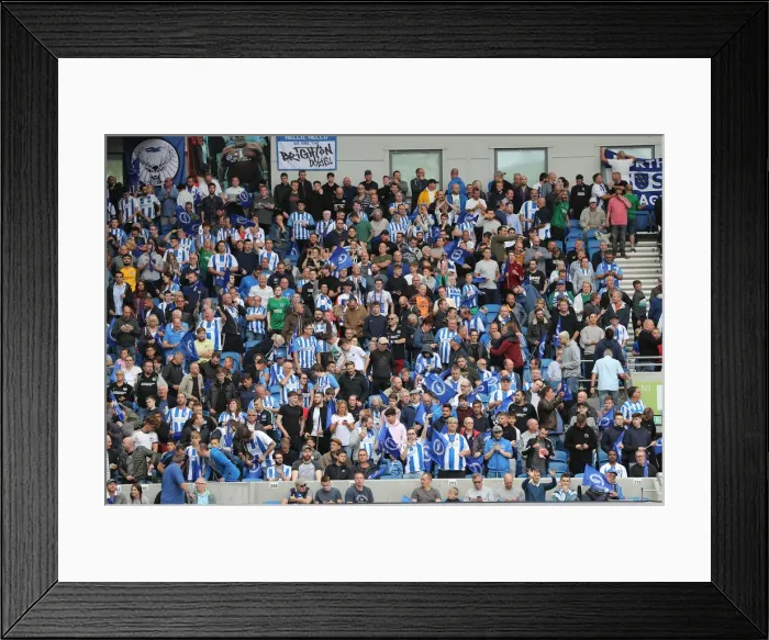Framed Print : Brighton and Hove Albion vs Manchester United: Premier League Showdown at American Express Community Stadium (19th August 2018) Framed Print : Brighton and Hove Albion vs Manchester United: Premier League Showdown at American Express Community Stadium (19th August 2018)