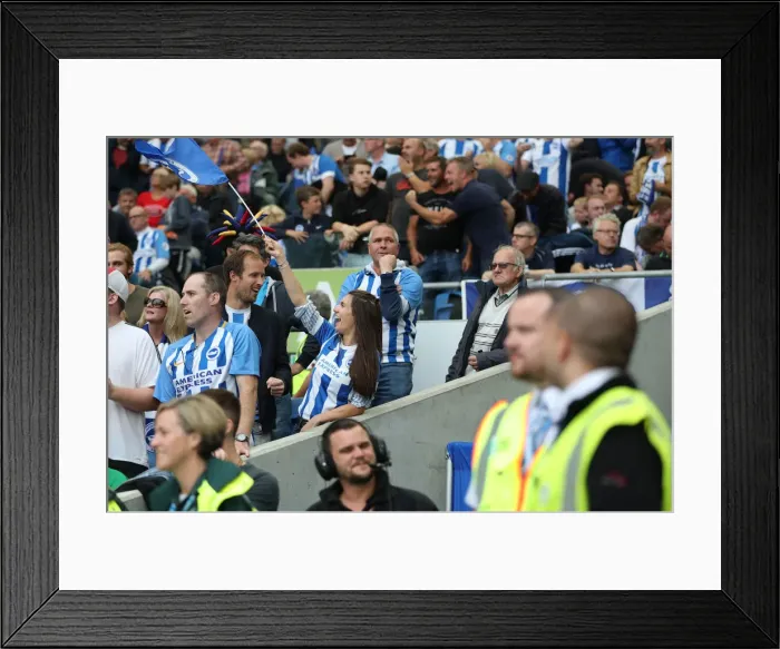 Framed Print : Brighton and Hove Albion vs Manchester United: Premier League Showdown at American Express Community Stadium (19th August 2018) Framed Print : Brighton and Hove Albion vs Manchester United: Premier League Showdown at American Express Community Stadium (19th August 2018)