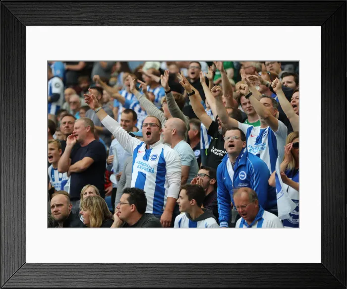 Framed Print : Brighton and Hove Albion vs Manchester United: Premier League Showdown at American Express Community Stadium (19th August 2018) Framed Print : Brighton and Hove Albion vs Manchester United: Premier League Showdown at American Express Community Stadium (19th August 2018)