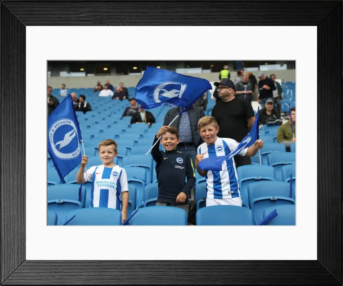 Framed Print : Brighton and Hove Albion vs Manchester United: Premier League Showdown at American Express Community Stadium (19th August 2018) Framed Print : Brighton and Hove Albion vs Manchester United: Premier League Showdown at American Express Community Stadium (19th August 2018)