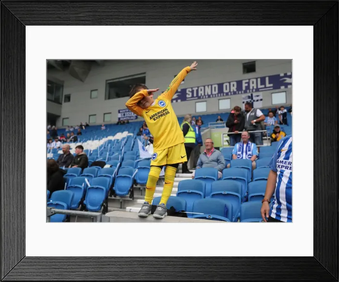 Framed Print : Brighton and Hove Albion vs Manchester United: Premier League Showdown at American Express Community Stadium (19th August 2018) Framed Print : Brighton and Hove Albion vs Manchester United: Premier League Showdown at American Express Community Stadium (19th August 2018)