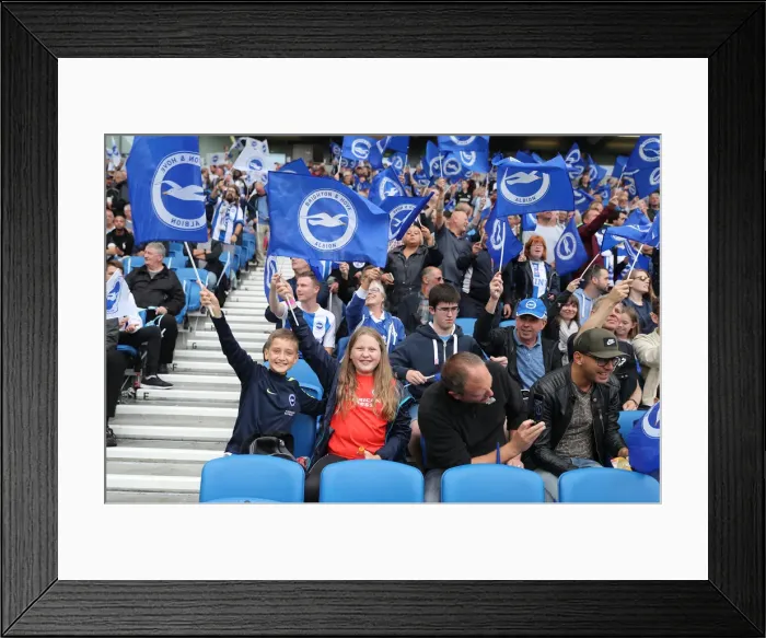 Framed Print : Brighton and Hove Albion vs Manchester United: Premier League Showdown at American Express Community Stadium (19th August 2018) Framed Print : Brighton and Hove Albion vs Manchester United: Premier League Showdown at American Express Community Stadium (19th August 2018)