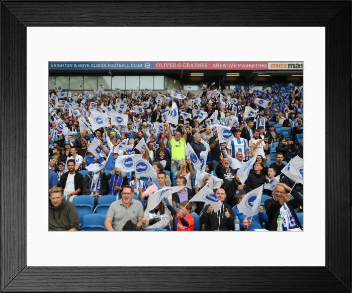 Framed Print : Brighton and Hove Albion vs Manchester United: Premier League Showdown at American Express Community Stadium (19th August 2018) Framed Print : Brighton and Hove Albion vs Manchester United: Premier League Showdown at American Express Community Stadium (19th August 2018)
