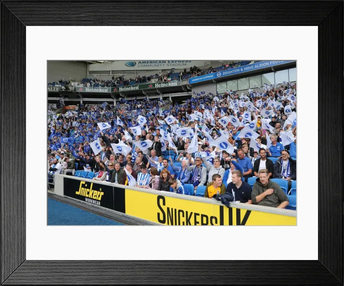 Framed Print : Brighton and Hove Albion vs Manchester United: Premier League Showdown at American Express Community Stadium (19th August 2018) Framed Print : Brighton and Hove Albion vs Manchester United: Premier League Showdown at American Express Community Stadium (19th August 2018)