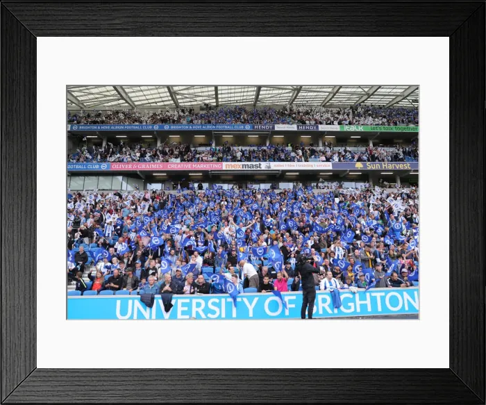 Framed Print : Brighton and Hove Albion vs Manchester United: Premier League Showdown at American Express Community Stadium (19th August 2018) Framed Print : Brighton and Hove Albion vs Manchester United: Premier League Showdown at American Express Community Stadium (19th August 2018)