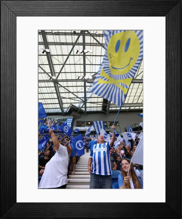 Framed Print : Brighton and Hove Albion vs Manchester United: Premier League Showdown at American Express Community Stadium (19th August 2018) Framed Print : Brighton and Hove Albion vs Manchester United: Premier League Showdown at American Express Community Stadium (19th August 2018)