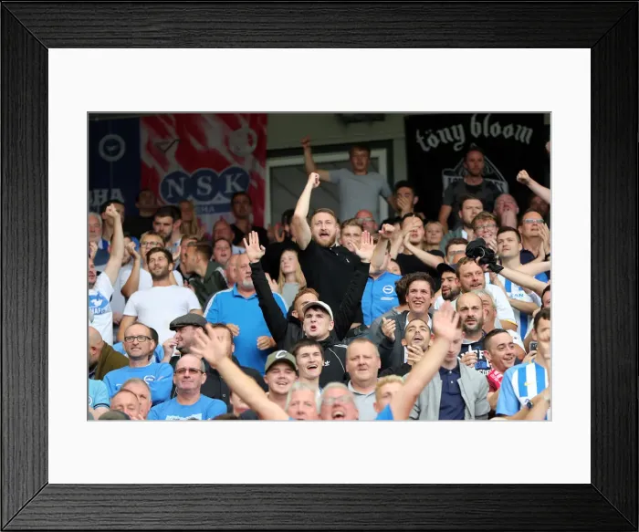Framed Print : Brighton and Hove Albion vs Manchester United: Premier League Showdown at American Express Community Stadium (19th August 2018) Framed Print : Brighton and Hove Albion vs Manchester United: Premier League Showdown at American Express Community Stadium (19th August 2018)