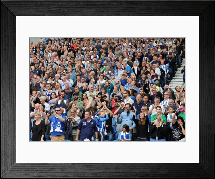 Framed Print : Premier League Showdown: Brighton & Hove Albion vs Manchester United (19th August 2018) - American Express Community Stadium Framed Print : Premier League Showdown: Brighton & Hove Albion vs Manchester United (19th August 2018) - American Express Community Stadium