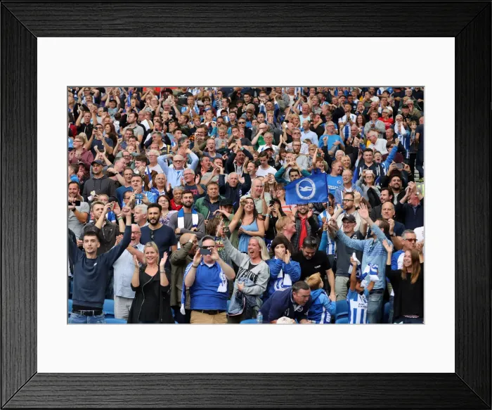 Framed Print : Brighton and Hove Albion vs Manchester United: Premier League Showdown at American Express Community Stadium (19th August 2018) Framed Print : Brighton and Hove Albion vs Manchester United: Premier League Showdown at American Express Community Stadium (19th August 2018)