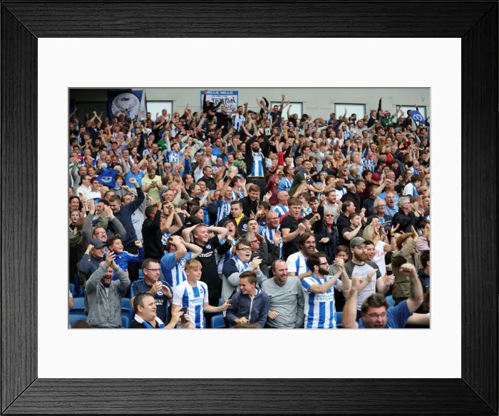 Framed Print : Brighton and Hove Albion vs Manchester United: Premier League Showdown at American Express Community Stadium (19th August 2018) Framed Print : Brighton and Hove Albion vs Manchester United: Premier League Showdown at American Express Community Stadium (19th August 2018)