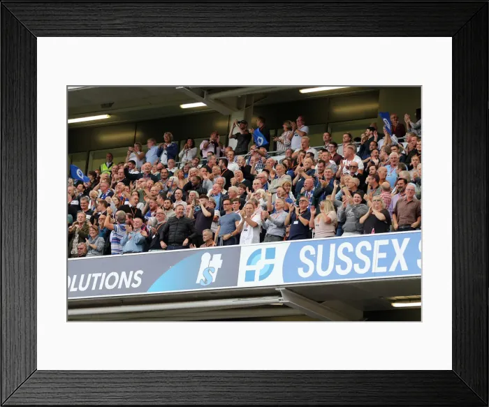Framed Print : Brighton and Hove Albion vs Manchester United: Premier League Showdown at American Express Community Stadium (19th August 2018) Framed Print : Brighton and Hove Albion vs Manchester United: Premier League Showdown at American Express Community Stadium (19th August 2018)