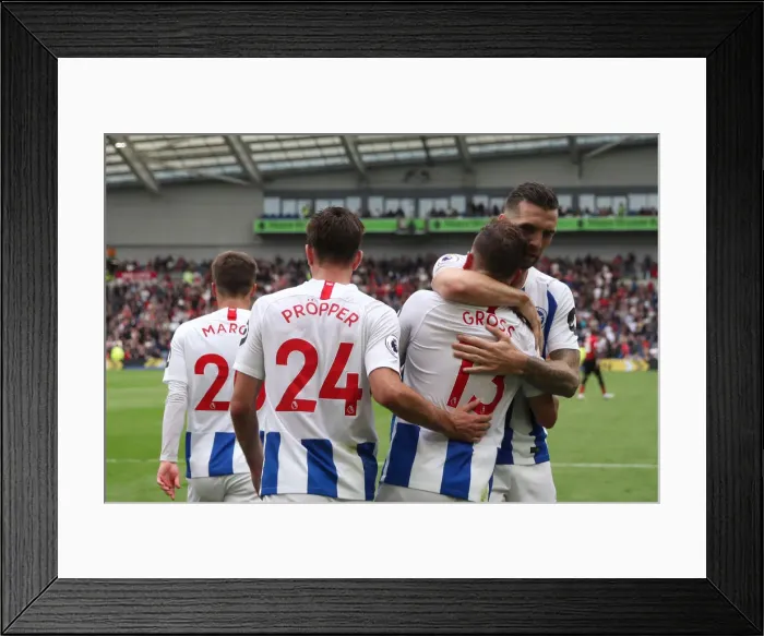 Framed Print : Brighton and Hove Albion vs Manchester United: Premier League Clash at American Express Community Stadium (19th August 2018) Framed Print : Brighton and Hove Albion vs Manchester United: Premier League Clash at American Express Community Stadium (19th August 2018)