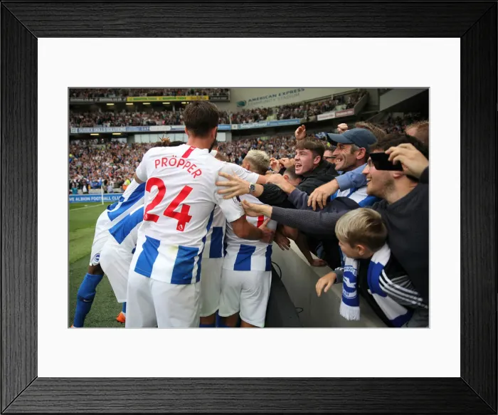 Framed Print : Brighton and Hove Albion vs Manchester United: Premier League Showdown at American Express Community Stadium (19th August 2018) Framed Print : Brighton and Hove Albion vs Manchester United: Premier League Showdown at American Express Community Stadium (19th August 2018)