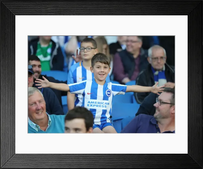 Framed Print : Brighton and Hove Albion vs. Southampton: Carabao Cup Showdown at American Express Community Stadium (28.08.18) Framed Print : Brighton and Hove Albion vs. Southampton: Carabao Cup Showdown at American Express Community Stadium (28.08.18)