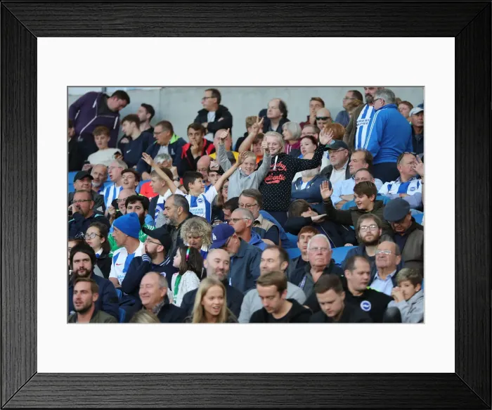 Framed Print : Brighton and Hove Albion vs Southampton: Carabao Cup Showdown at American Express Community Stadium (28.08.18)