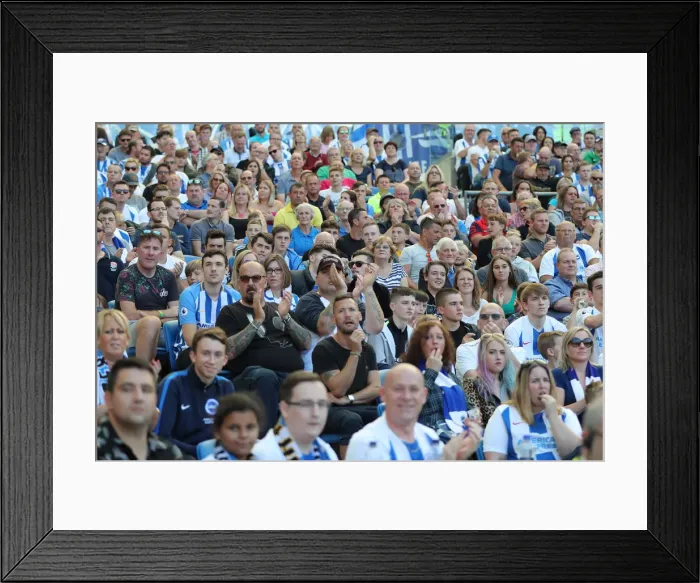 Framed Print : Brighton and Hove Albion vs. Fulham: Premier League Showdown at American Express Community Stadium (September 1, 2018) Framed Print : Brighton and Hove Albion vs. Fulham: Premier League Showdown at American Express Community Stadium (September 1, 2018)