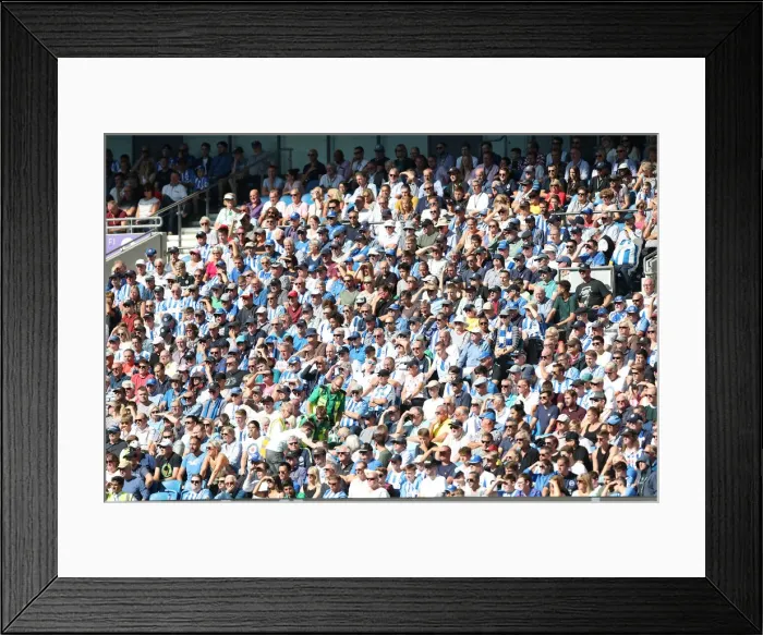 Framed Print : Brighton and Hove Albion vs. Fulham: Premier League Showdown at American Express Community Stadium (September 1, 2018) Framed Print : Brighton and Hove Albion vs. Fulham: Premier League Showdown at American Express Community Stadium (September 1, 2018)