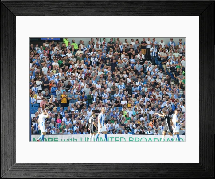 Framed Print : Brighton and Hove Albion vs. Fulham: Premier League Showdown at American Express Community Stadium (September 1, 2018) Framed Print : Brighton and Hove Albion vs. Fulham: Premier League Showdown at American Express Community Stadium (September 1, 2018)