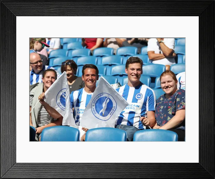 Framed Print : Brighton and Hove Albion vs. Fulham: Premier League Showdown at American Express Community Stadium (September 1, 2018) Framed Print : Brighton and Hove Albion vs. Fulham: Premier League Showdown at American Express Community Stadium (September 1, 2018)
