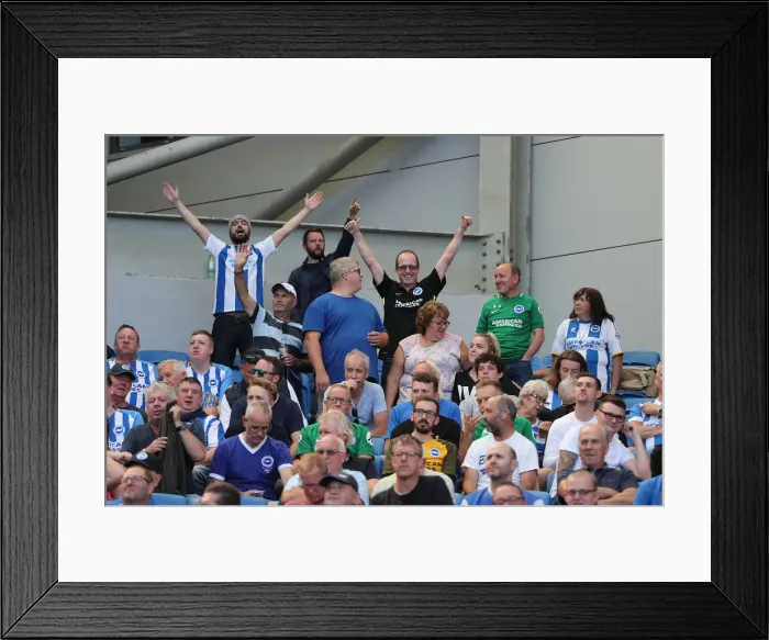 Framed Print : Brighton and Hove Albion vs. Fulham: Premier League Showdown at American Express Community Stadium (September 1, 2018) Framed Print : Brighton and Hove Albion vs. Fulham: Premier League Showdown at American Express Community Stadium (September 1, 2018)