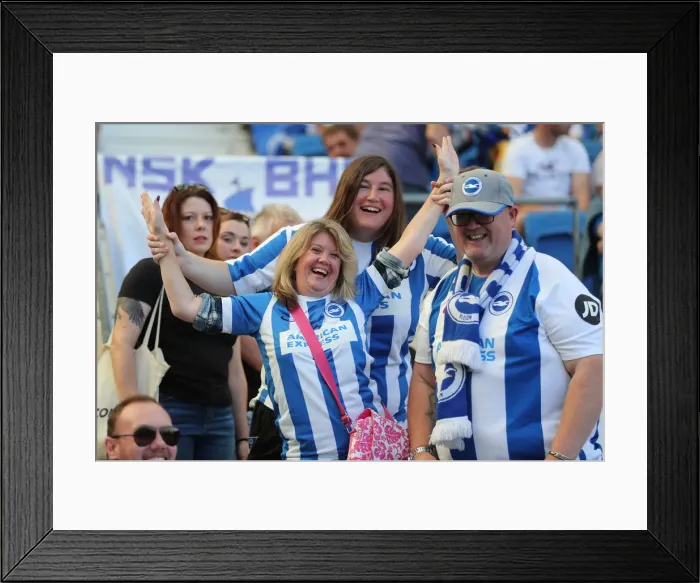 Framed Print : Brighton and Hove Albion vs. Fulham: Premier League Showdown at American Express Community Stadium (September 1, 2018) Framed Print : Brighton and Hove Albion vs. Fulham: Premier League Showdown at American Express Community Stadium (September 1, 2018)