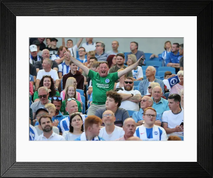 Framed Print : Brighton and Hove Albion vs. Fulham: Premier League Showdown at American Express Community Stadium (01SEP18) Framed Print : Brighton and Hove Albion vs. Fulham: Premier League Showdown at American Express Community Stadium (01SEP18)