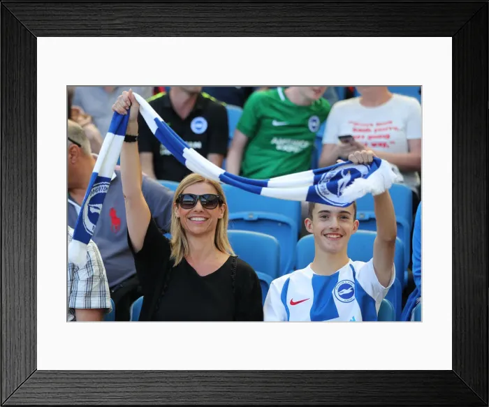 Framed Print : Brighton and Hove Albion vs. Fulham: Premier League Showdown at American Express Community Stadium (01SEP18) Framed Print : Brighton and Hove Albion vs. Fulham: Premier League Showdown at American Express Community Stadium (01SEP18)