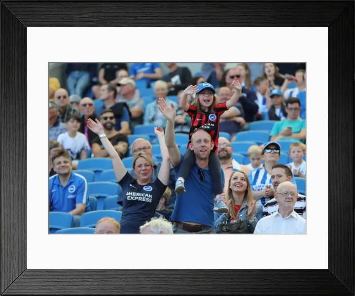 Framed Print : Brighton and Hove Albion vs. Fulham: Premier League Showdown at American Express Community Stadium (September 1, 2018) Framed Print : Brighton and Hove Albion vs. Fulham: Premier League Showdown at American Express Community Stadium (September 1, 2018)
