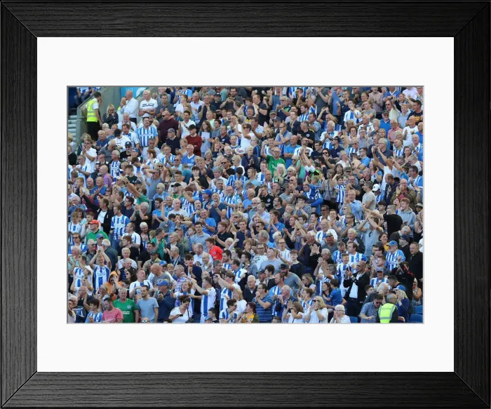 Framed Print : Brighton and Hove Albion vs. Fulham: Premier League Showdown at American Express Community Stadium (September 1, 2018)