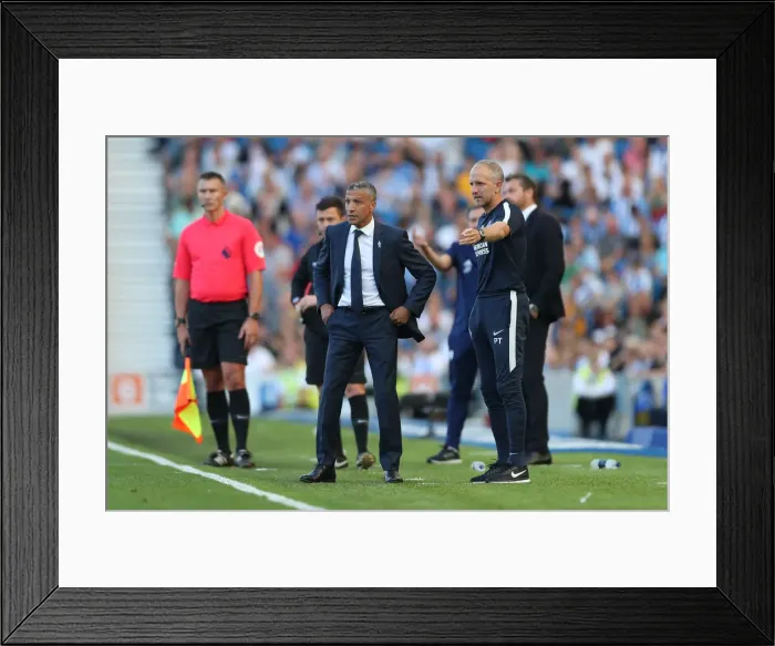 Framed Print : Brighton and Hove Albion vs. Fulham: Premier League Showdown at American Express Community Stadium (September 1, 2018) Framed Print : Brighton and Hove Albion vs. Fulham: Premier League Showdown at American Express Community Stadium (September 1, 2018)
