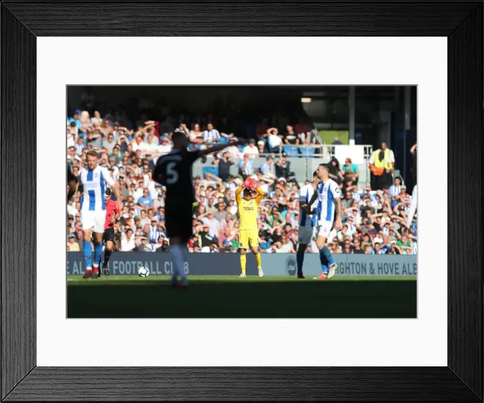 Framed Print : Brighton and Hove Albion vs. Fulham: Premier League Showdown at American Express Community Stadium (01SEP18) Framed Print : Brighton and Hove Albion vs. Fulham: Premier League Showdown at American Express Community Stadium (01SEP18)